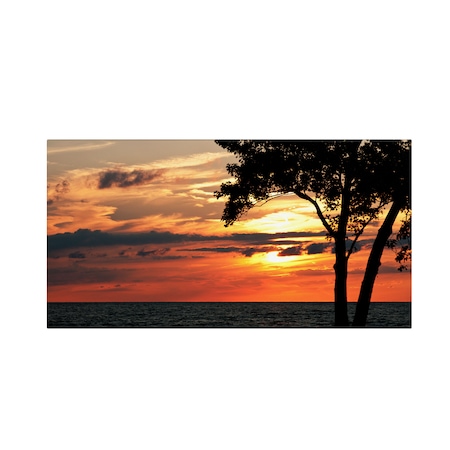 Kurt Shaffer 'A Special Sunset' Canvas Art,16x32